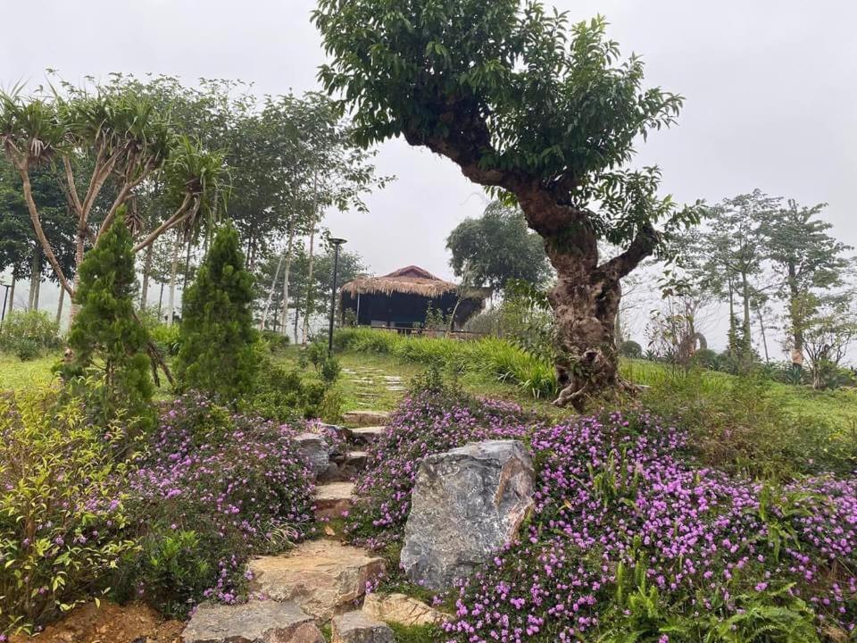 Ho Tam Homestay Hòa Bình Zewnętrze zdjęcie